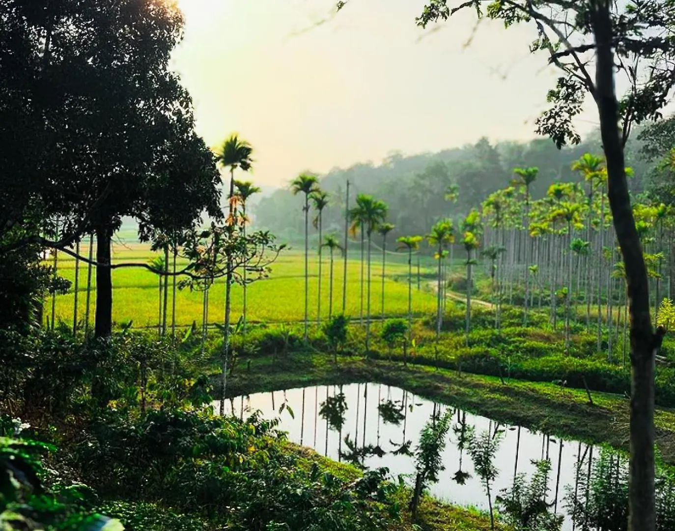 فندق Nomad'S Arc Wayanad Chegāt مكان تخييم